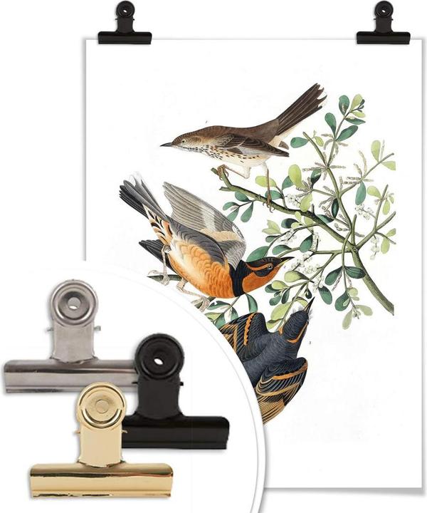 Image du produit Trenddeko Trois grives (60 x 80 cm)