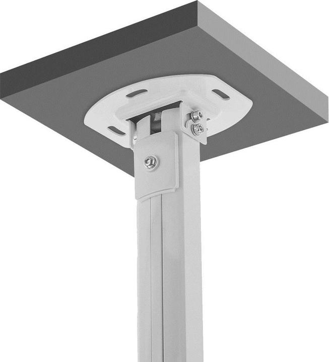 Actual product image Techly Projector ceiling mount (Ceiling)