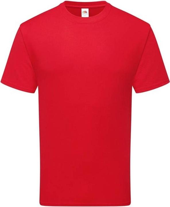 Actual product image Fruit of the Loom Unisex Adult Cotton T-Shirt (S)