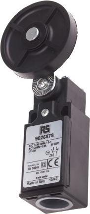 Image du produit Rs Pro LS M20 50 rub roller lever 1NO+1NC