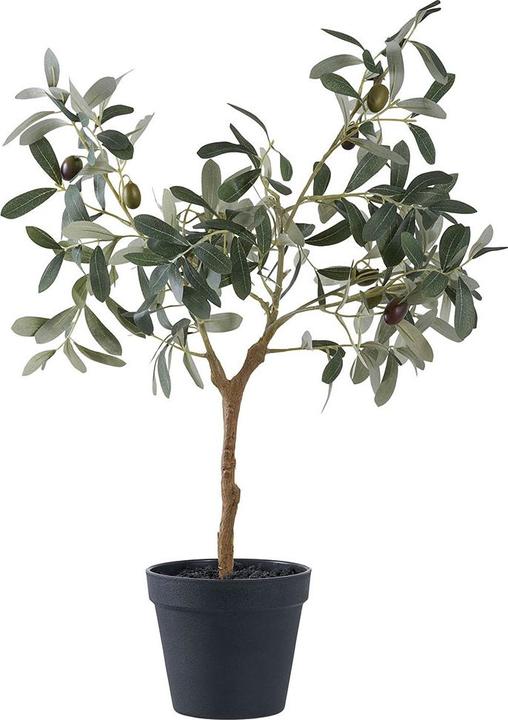 House Nordic Olijf (61 cm)