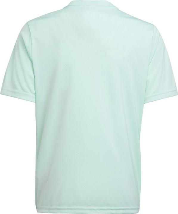Actual product image adidas Team Icon 23 Jersey (164)