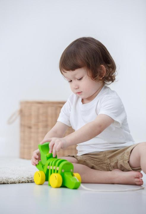 Produktbild Plantoys Tanzender Alligator