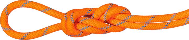 Produktbild Mammut 8.7 Alpine Sender Dry Rope (60 m)