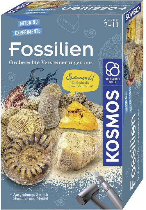 Kosmos Fossilien