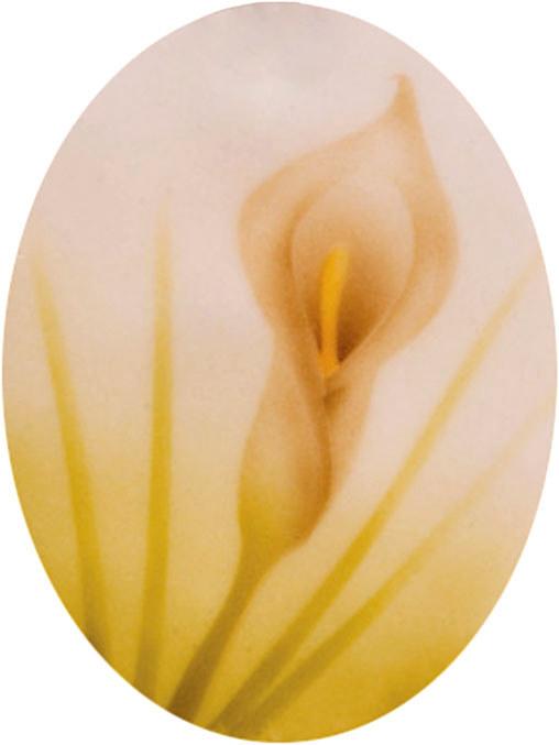 Produktbild Martellato Airbrush Schablone 2 Callas Lilien