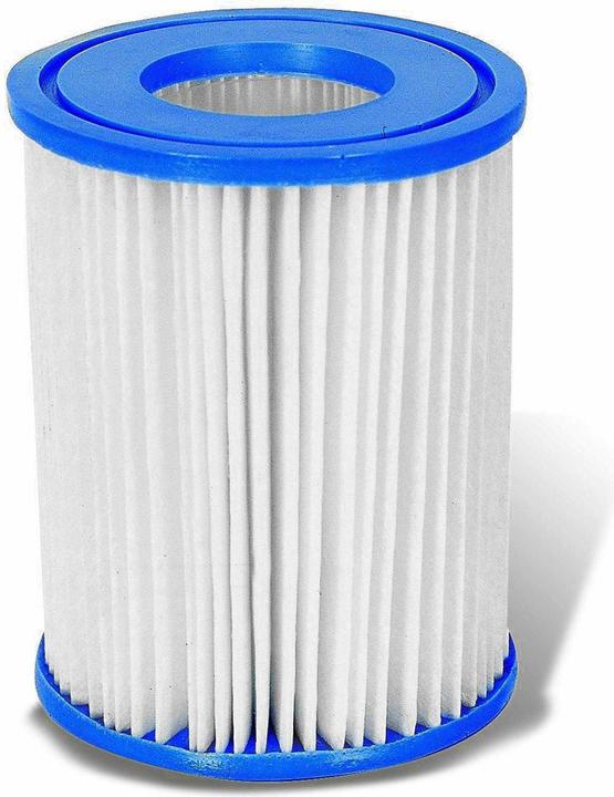 Actual product image Bestway filter cartridge