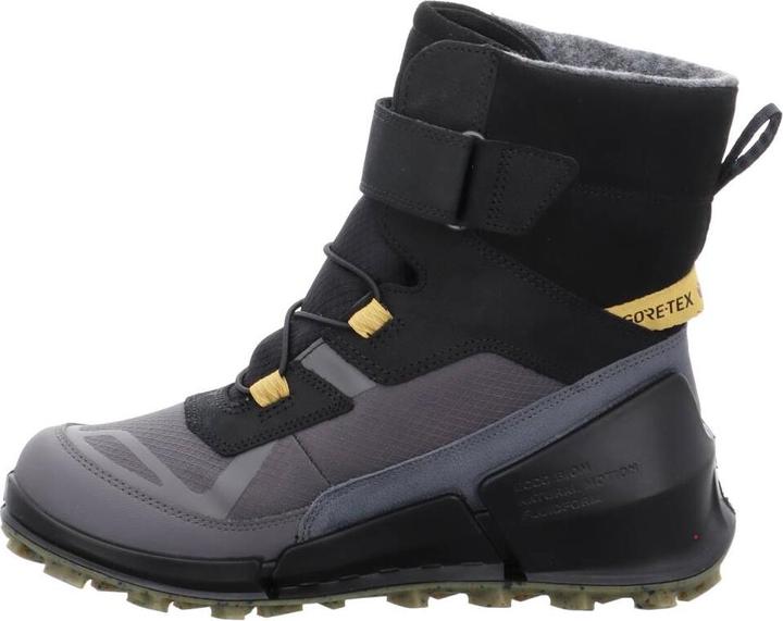Image du produit Ecco Biom K2 GTX (31)