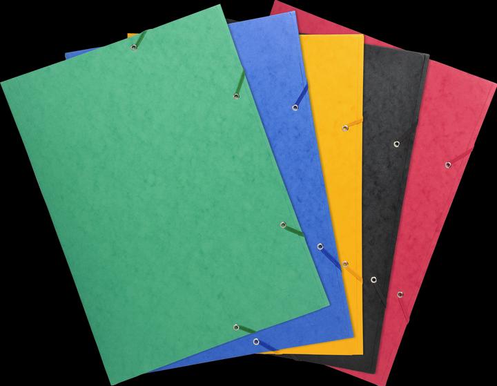 Produktbild Exacompta Sammelmappe mit Gummizug (A3, 1 x)
