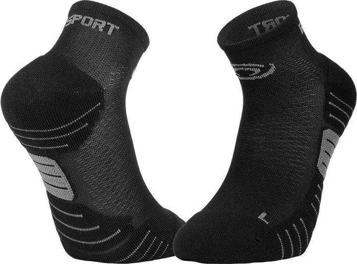 BV Sport Scrone.3