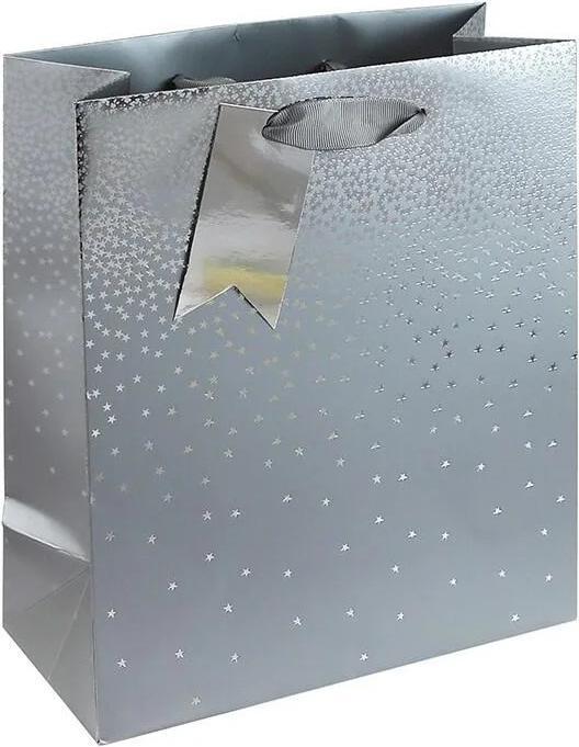 Actual product image Eurowrap Ombre Gift Bag (Pack of 6) (Gift box, 6 x)