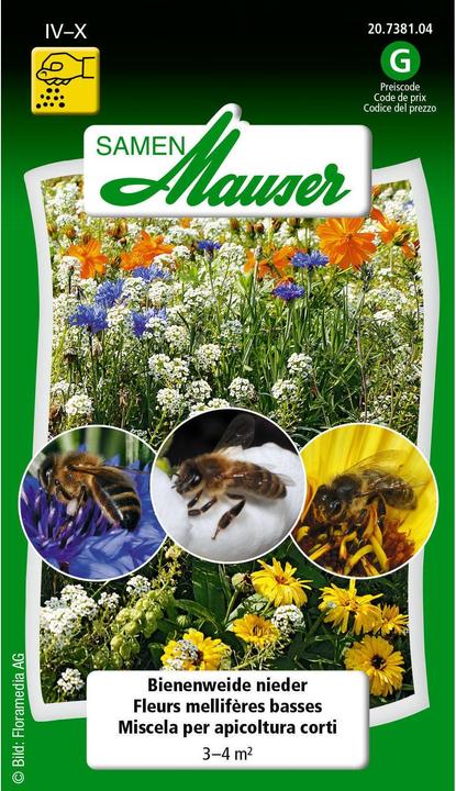 Samen Mauser Bienenweide (Blumensamen)