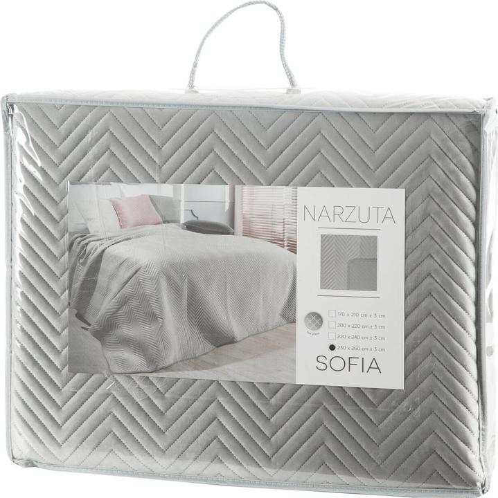 Image du produit Eurofirany CHON / SOFIA / Argent 230X260 Couvre-lit argenté