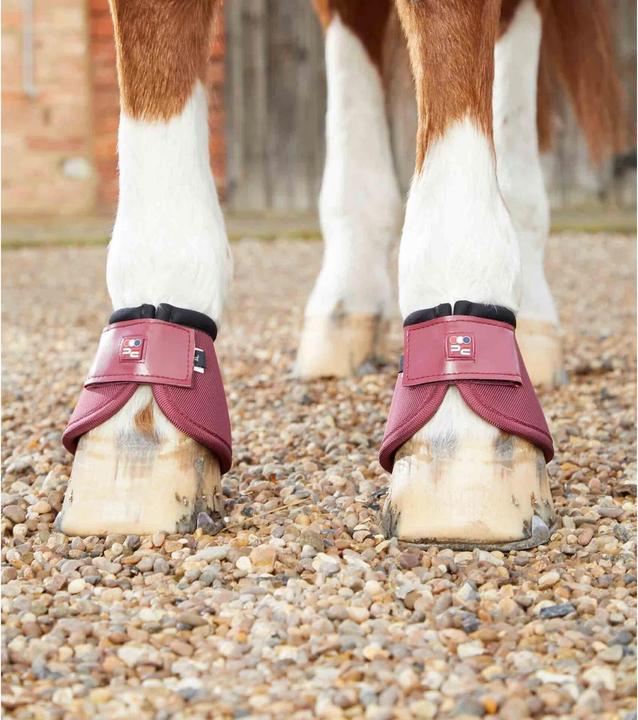 Immagine prodotto Premier Equine Ballistic