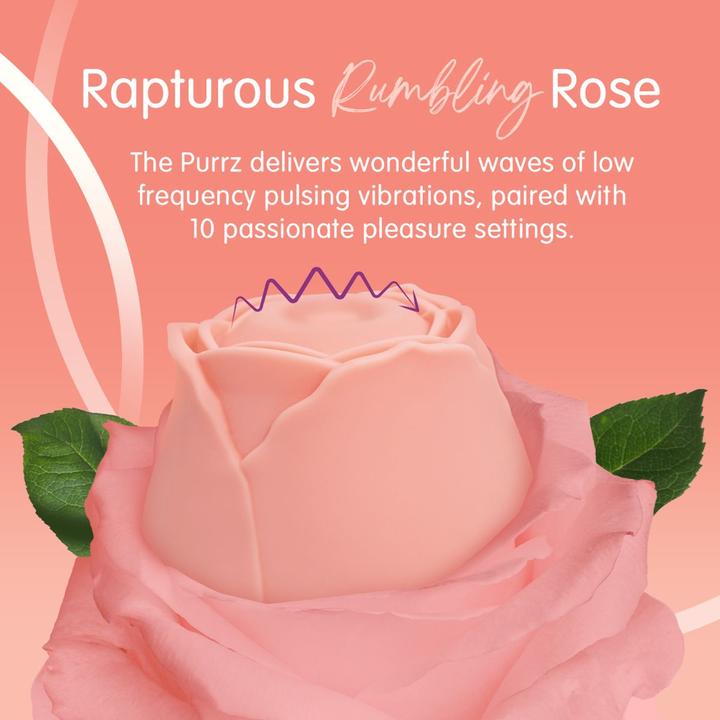 Actual product image Skins Rose Buddies