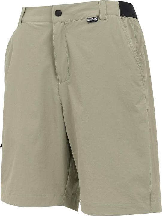 Actual product image Regatta Mens Travel Light Packaway Shorts (34)
