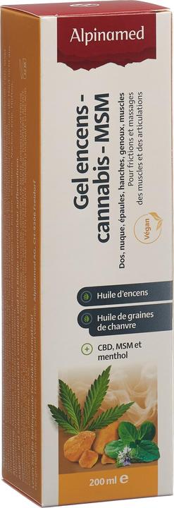 Immagine prodotto Alpinamed Gel MSM all'incenso e alla cannabis (1 x, 200 ml, 280 g)