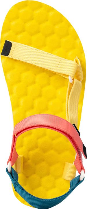 Produktbild Lizard Trail Max (36)