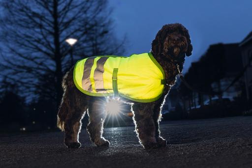 Produktbild Beeztees Bz Sg Hundemantel Teddie Refle (XXL, Hundemantel)