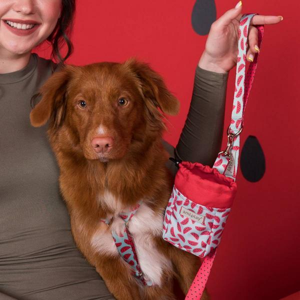 Immagine prodotto amiplay Borsa snack Be Happy Jungle, verde (Cane da snack)