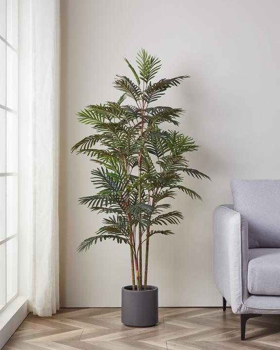 Immagine prodotto EGLO Pianta artificiale in vaso (160 cm)