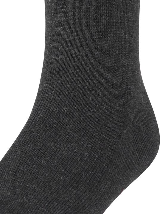 Image du produit Falke Family SO (Une unité par pack, 39 - 42)