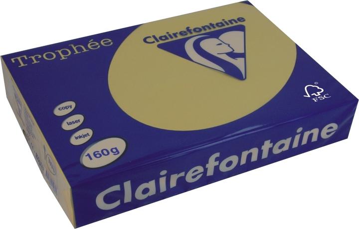 Image du produit Clairefontaine Trophée (160 g/m², 250 x, A4)