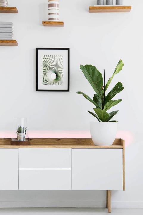 Image du produit EGLO Stripe-c (Blanc chaud, Blanc neutre, Blanc froid, RGBW, 300 cm, Intérieur)
