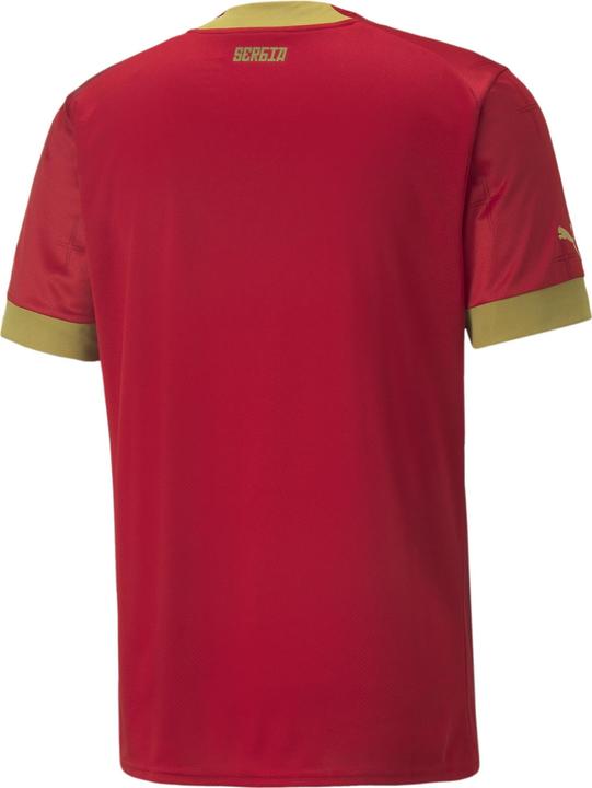 Immagine prodotto Puma Maglia FSS Home Replica (M)