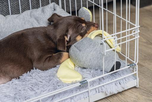 Productafbeelding Beeztees Puppy kooi (Hond, Wasbaar, Reflectoren)