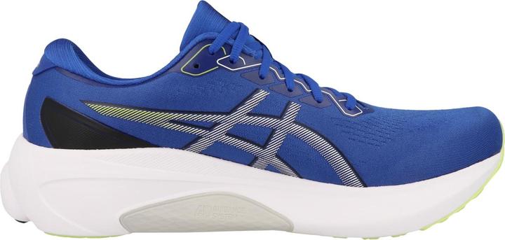 Actual product image ASICS Performance Gel Kayano 30 (43.5)