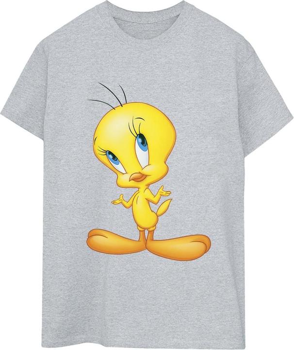 Actual product image Looney Tunes Womens/Ladies Tweety Standing Cotton Boyfriend T-Shirt (S)
