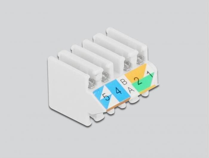 Image du produit Delock Connecteur RJ45 Cat.6 UTP sans outil 1 pièce, Blanc (Câble réseau Connecteur)