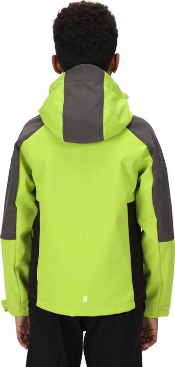 Image du produit Regatta Veste softshell Eastcott II (104)