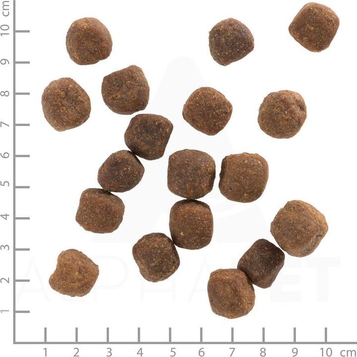 Immagine prodotto Wolfsblut Cibo secco per cani Anatra selvatica con patate (Adulto, 1 pz., 2000 g)