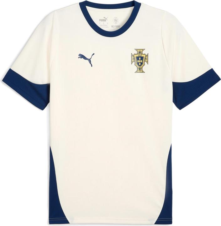 Puma FPF Training Jersey (L)