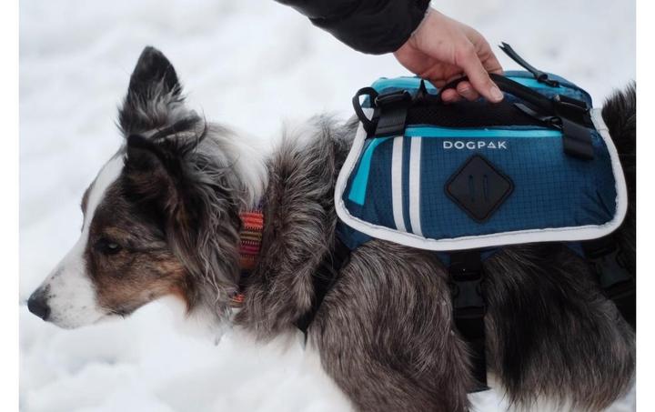 Produktbild Dogpak Moab Lite Hunderucksack L (L, Hundeschuhe)