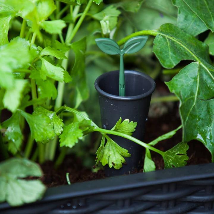 Produktbild Keter Easy Growing
