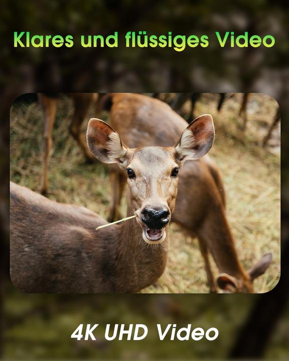 Produktbild KJK Wildkamera mit WLAN, 4K, Nachtsicht, IP67, 130° Winkel