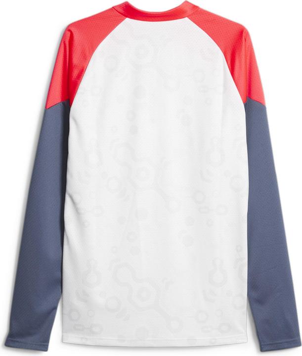 Produktbild Puma individualCUP 1/4 Zip Top (L)