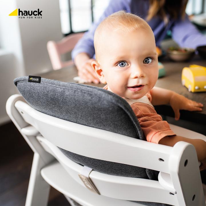 Actual product image Hauck Alpha cosy Select