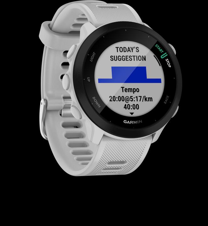 Garmin Forerunner 55 (42 mm)