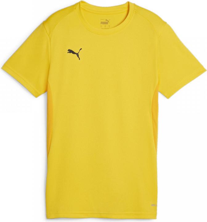 Produktbild Puma teamGOAL Jersey Wmn (M)