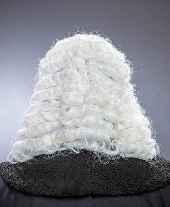 Actual product image Festartikel Müller Wig judge