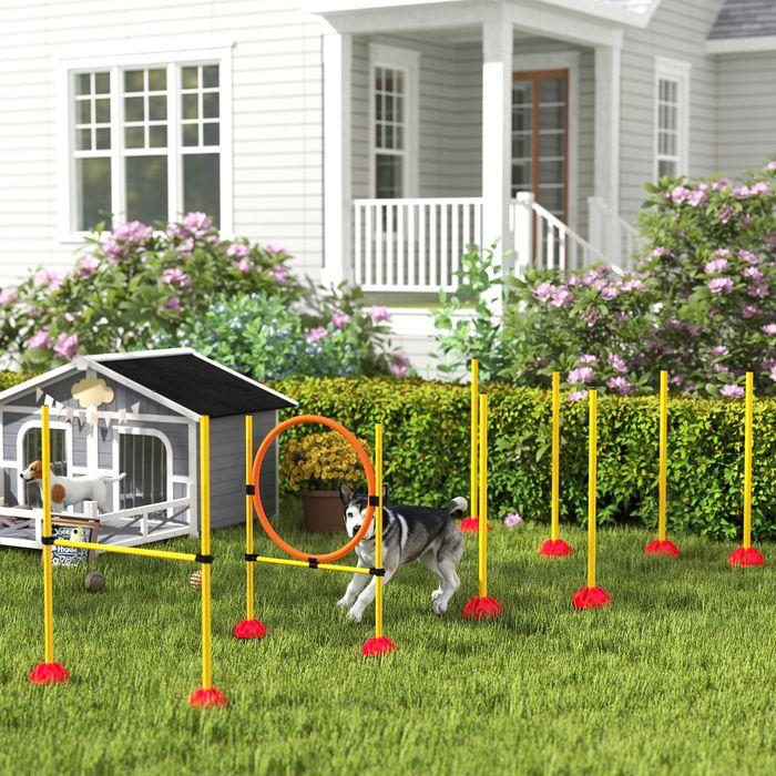 Produktbild Swisshandel24 Agility Set Hunde 3-teiliges befüllbar Agility-Ausrüstung für Hundetraining (Agility)