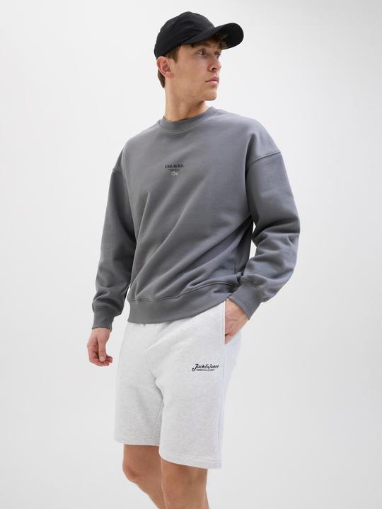 Produktbild Jack & Jones Regular Fit Regular Fit Shorts Regular Fit Shorts (XS)
