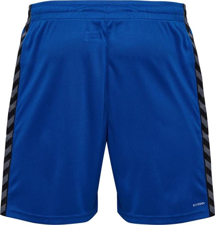 Image du produit hummel Hmlauthentic Pl Shorts (S)