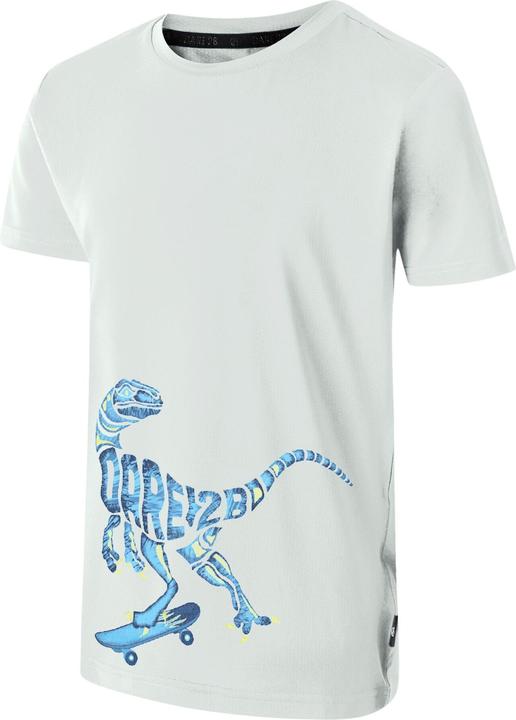 Actual product image Dare2b Boys Amuse II Velociraptor T-Shirt (164)