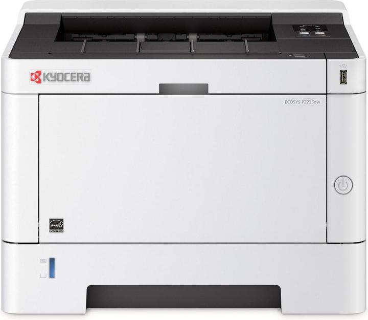 Ecosys P2235dw (Laser, Black and white)