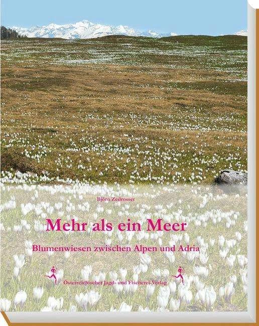 Produktbild Mehr als ein Meer (Deutsch, Bjorn Zedrosser, 2018)
